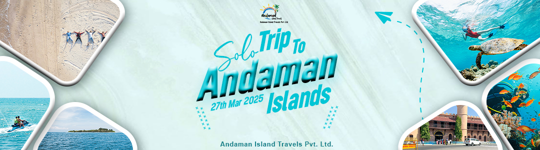 solo trips 