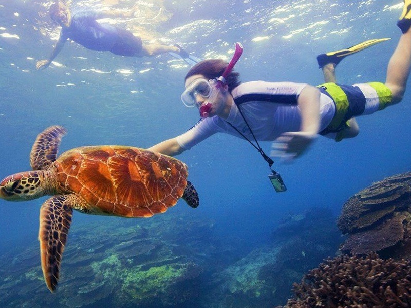  Snorkelling Spots in Neil Island