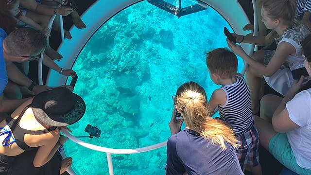 Glass Bottom Boat Ride