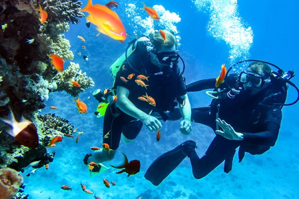 #3 of Top 11 Water Sports in the Andaman Islands: Scuba Diving