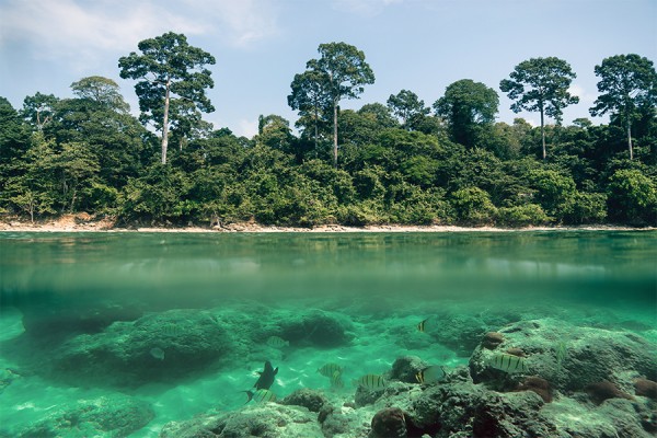 Neil’s Cove at Havelock Island