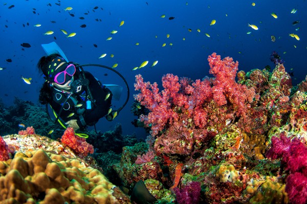 Nemo Reef at Havelock Island